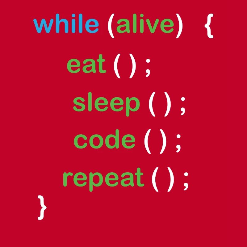 Python Coding Software Developer