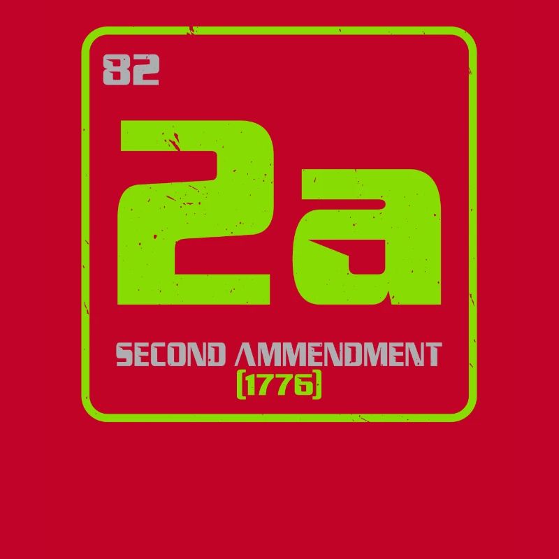 Second Amendment Gun Rights 2nd Amendment America