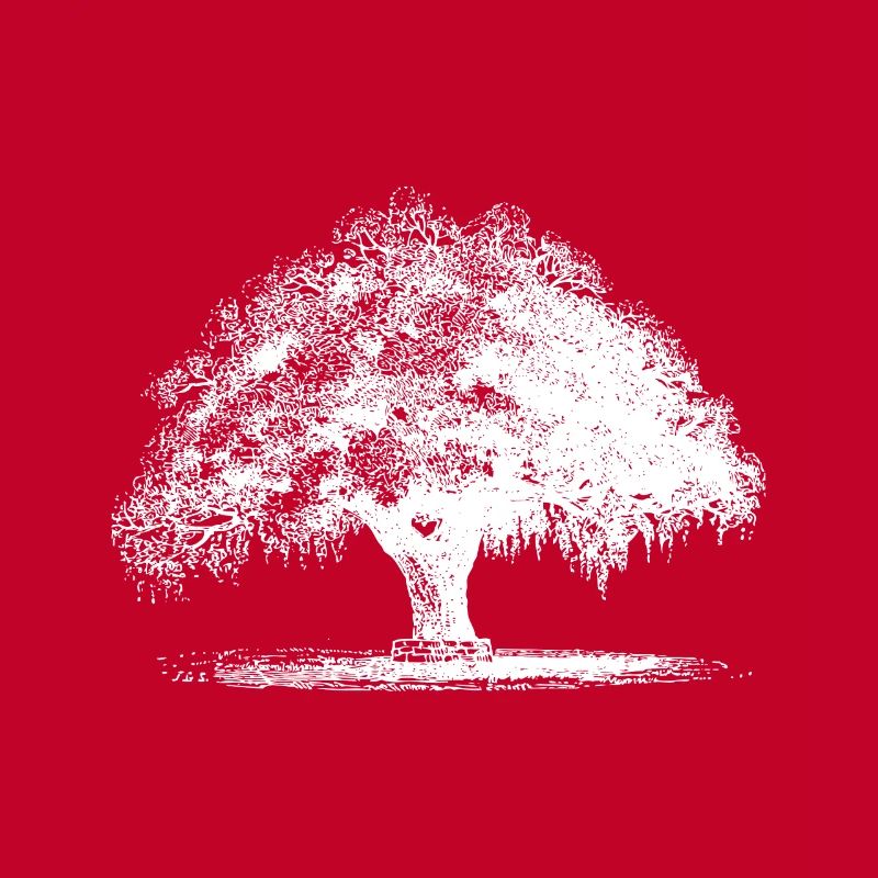 Baum