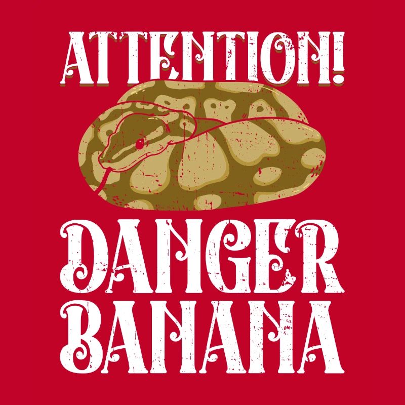 Königspython Banane Königspython Schlange