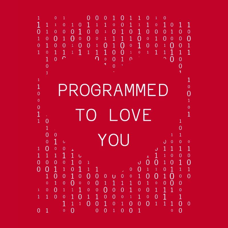 Developer Coder Programmer