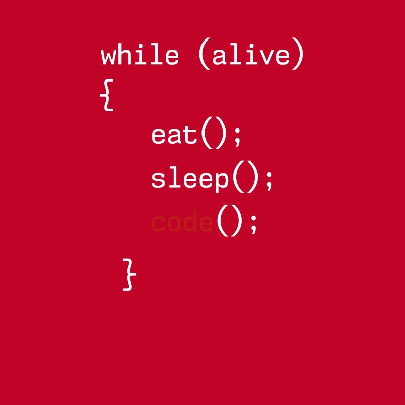 Administrator Coding Geek Programmer