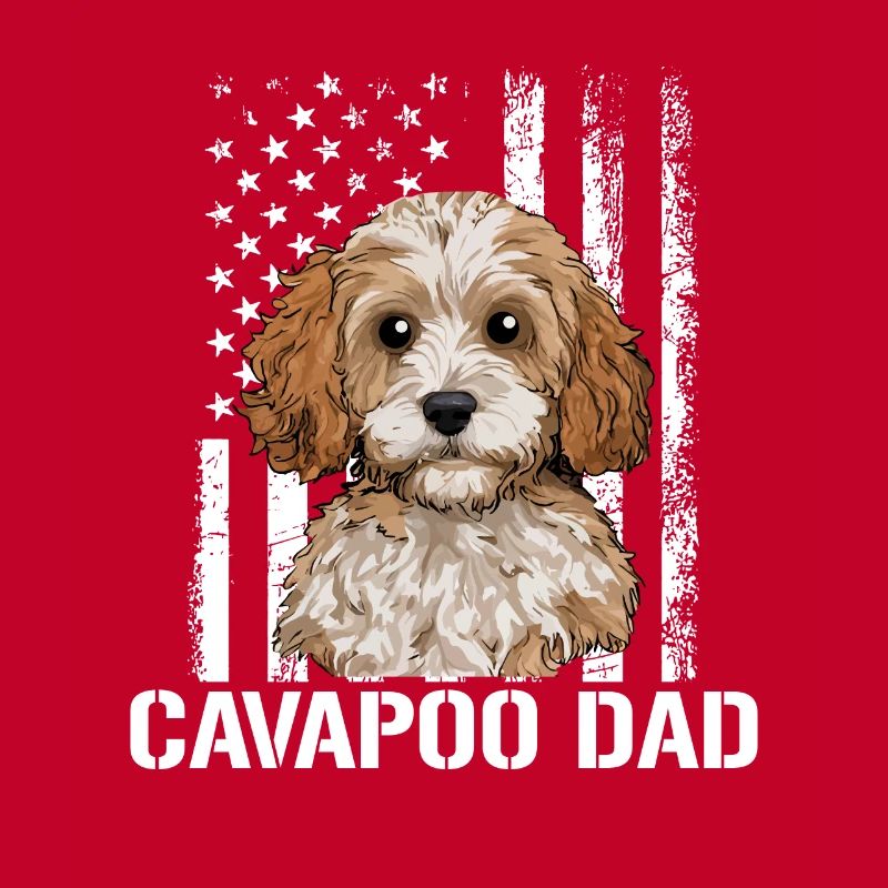 Chien Cavapoo, Cavapoo