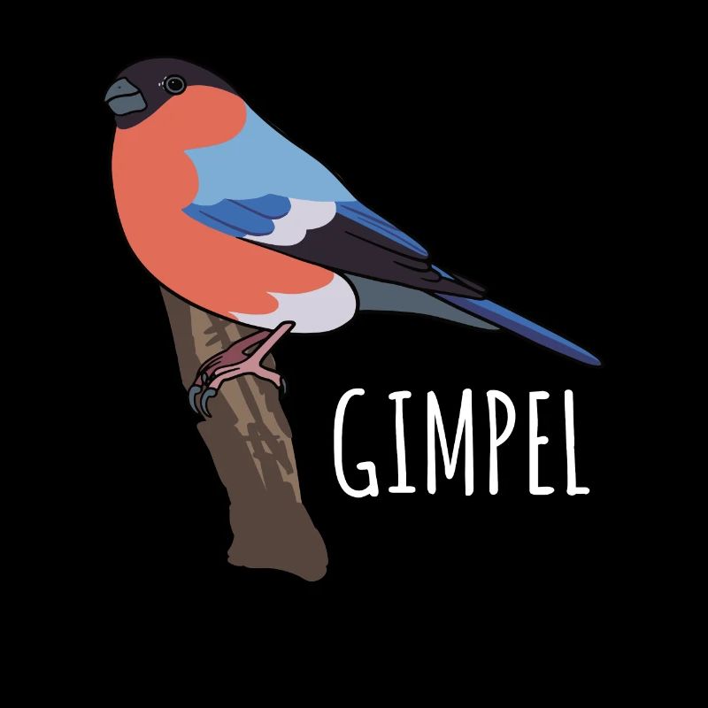 Dompfaff Gimpel Vogel Blutfink