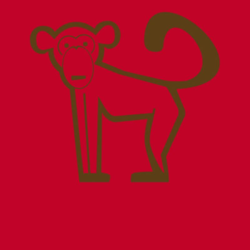 Monkey, Primates, Evolution, Icon, Zoo, Circus