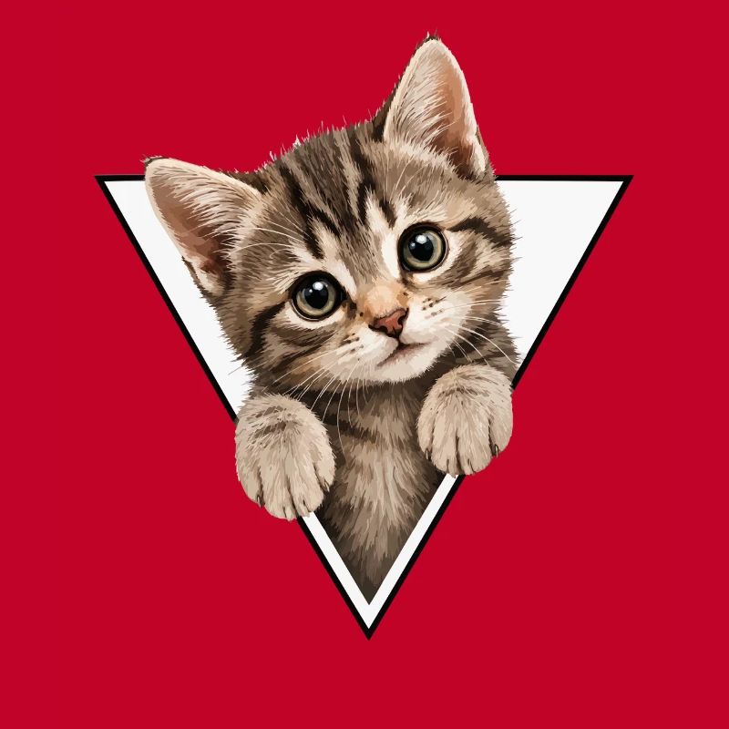 Chaton dans le triangle