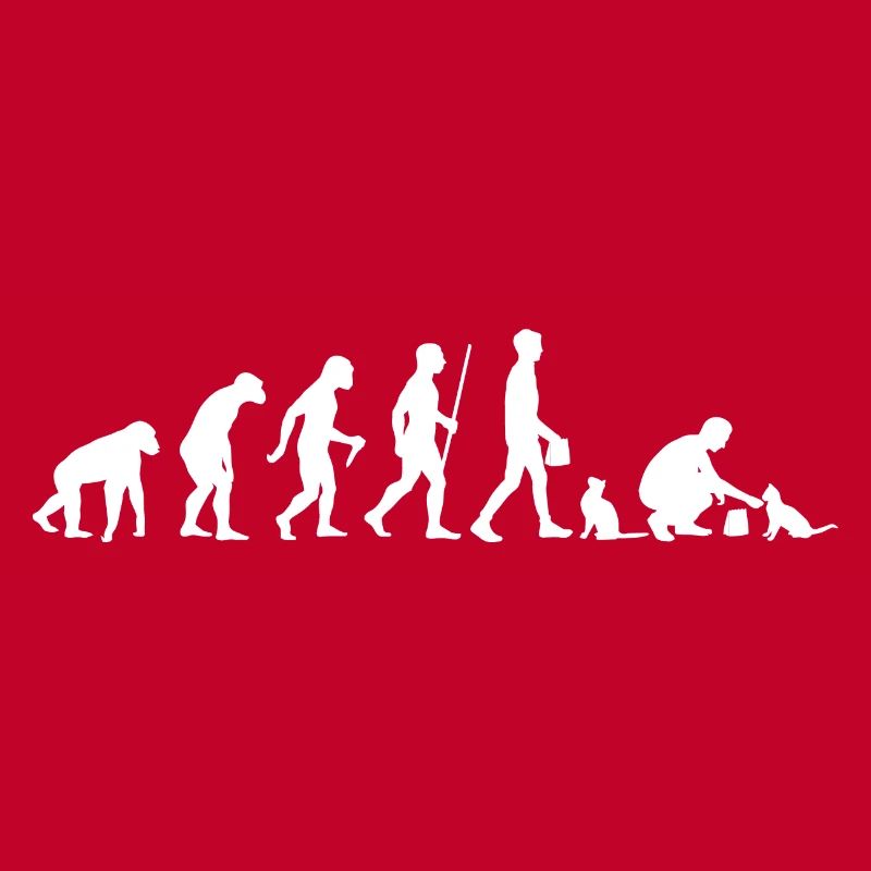 Evolution Cat Cat Propriétaire De chat Propriétaire de chat