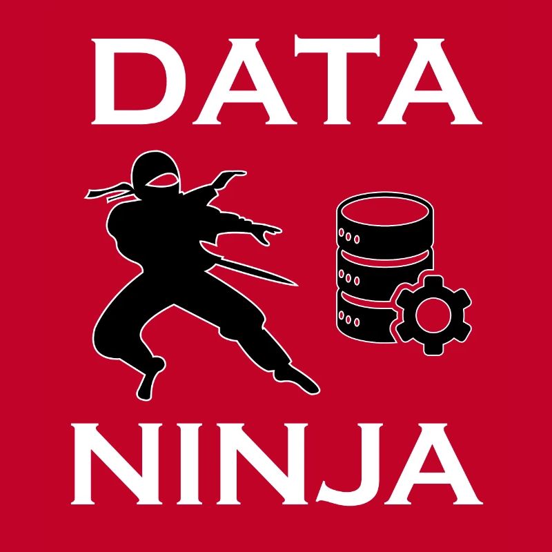 Data Ninja | Chemise Data Science