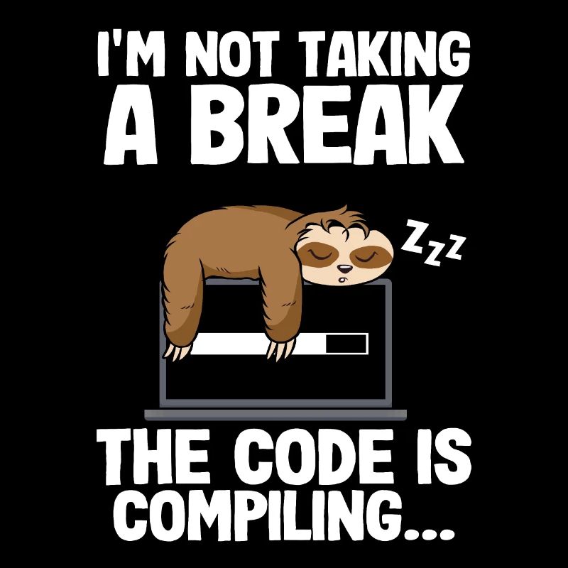 Programmeur Paresseux Informaticiens Nerd Coder Bug