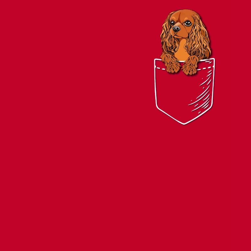 Ruby Cavalier King Charles Spaniel