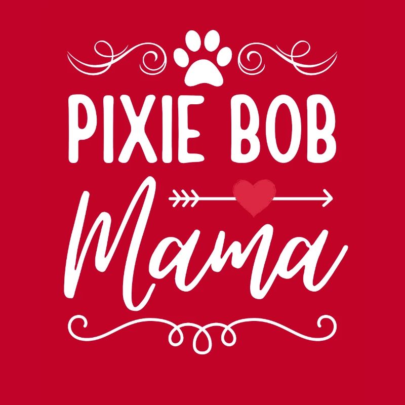 Pixie Bob Cat Mama Pixie Bob Mom