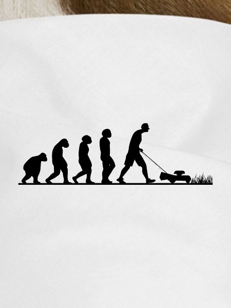EVOLUTION RASENMÄHEN