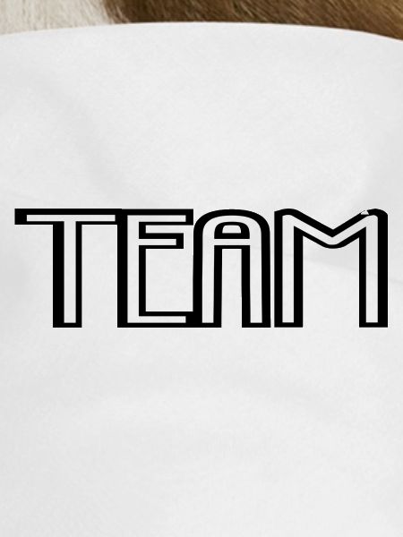 Team