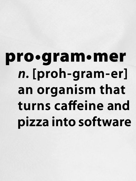 Programmer Wörterbuchdefinition