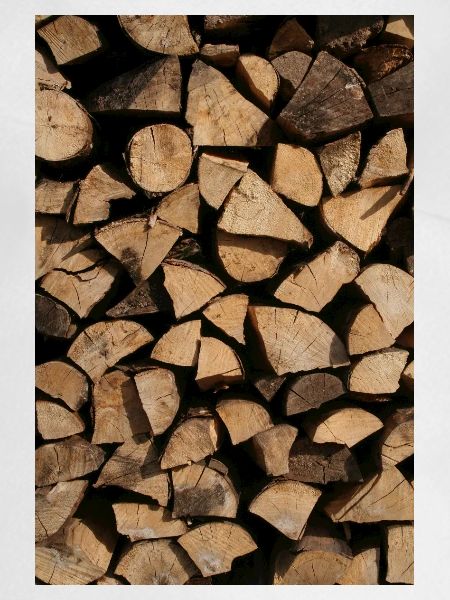 KAMINHOLZ