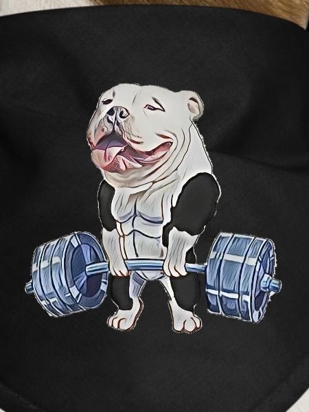 Muscle Bully