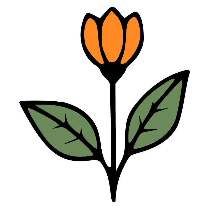  Blume Tulpe Blumen Blüte Geschenkidee Mutter 