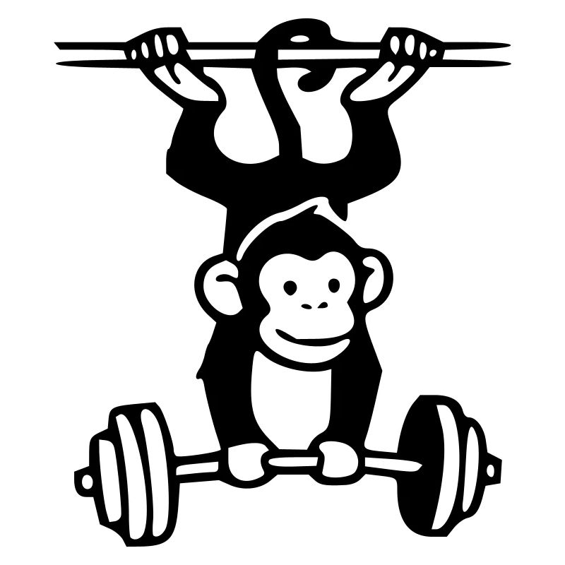 Primate Power - Gym Affe 