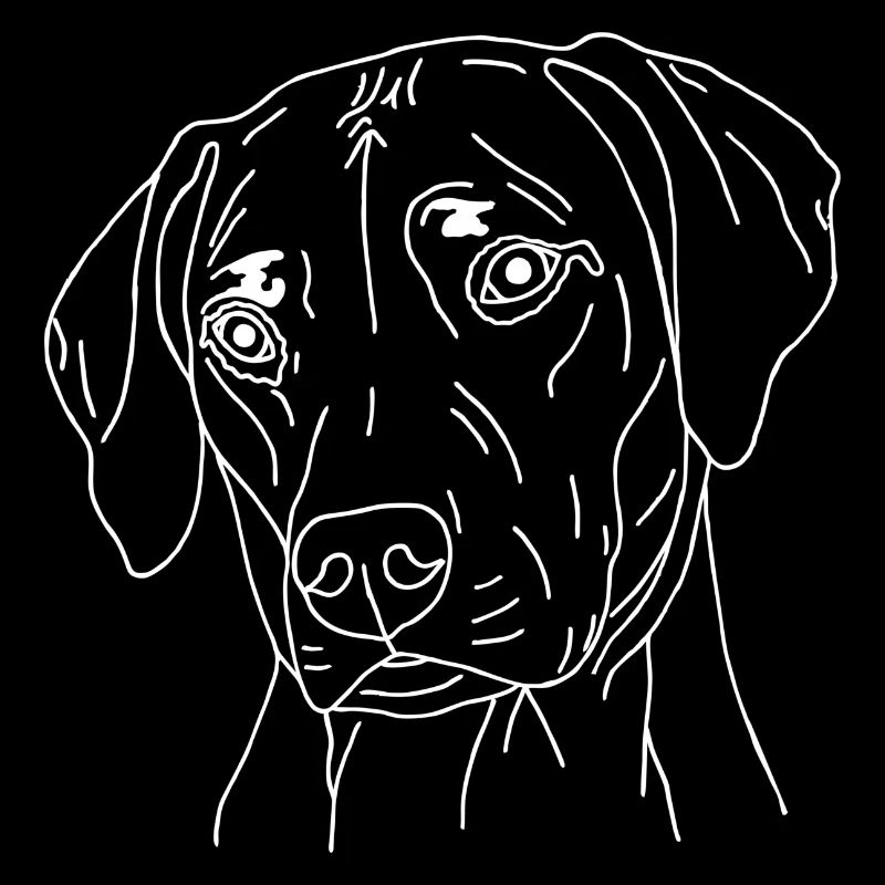 Rhodesian Ridgeback