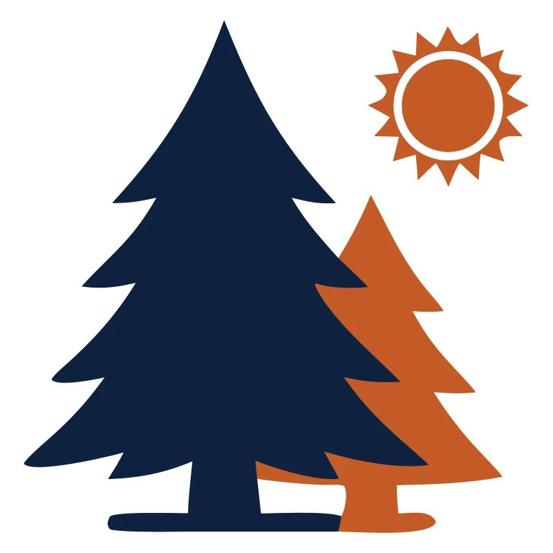Fir Trees Forest Sun Minimalism