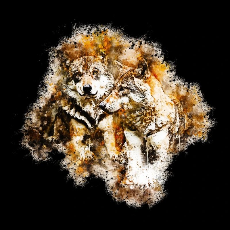 gxp wolf team watercolor splash