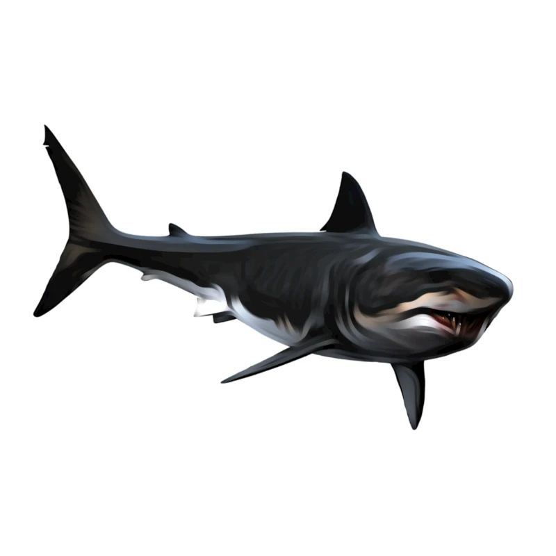 Requin