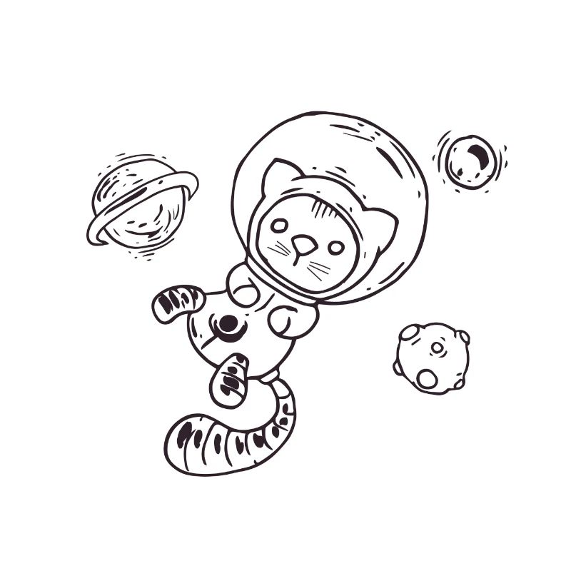 Chat dans l'espace