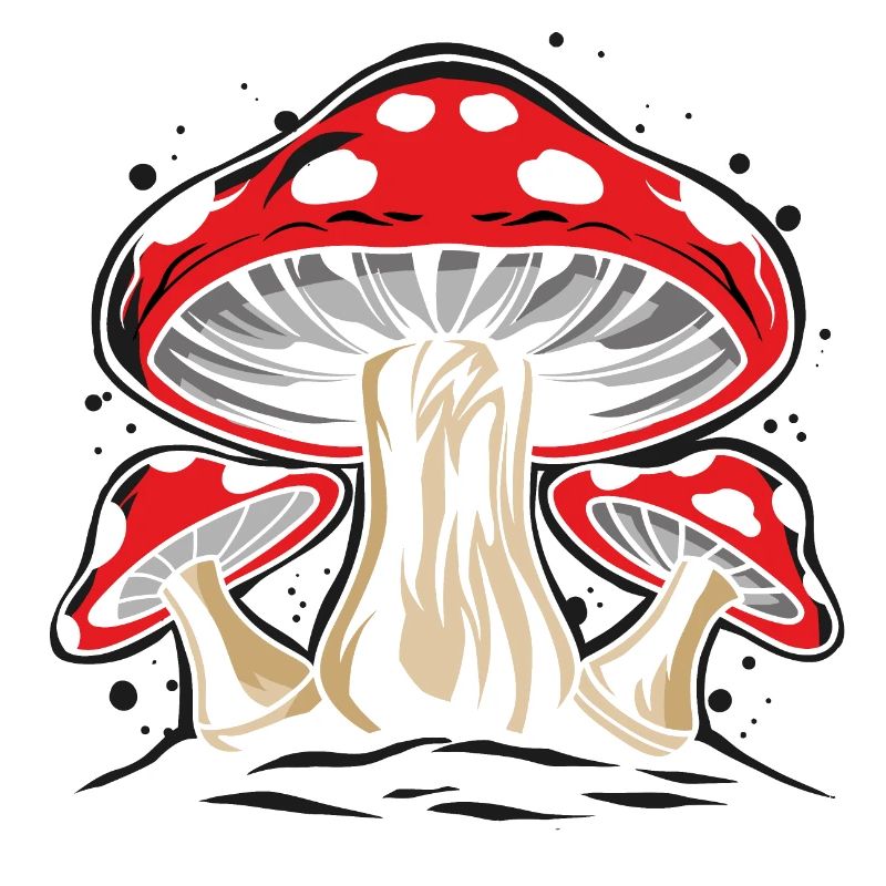 Toadstool le champignon le plus célèbre