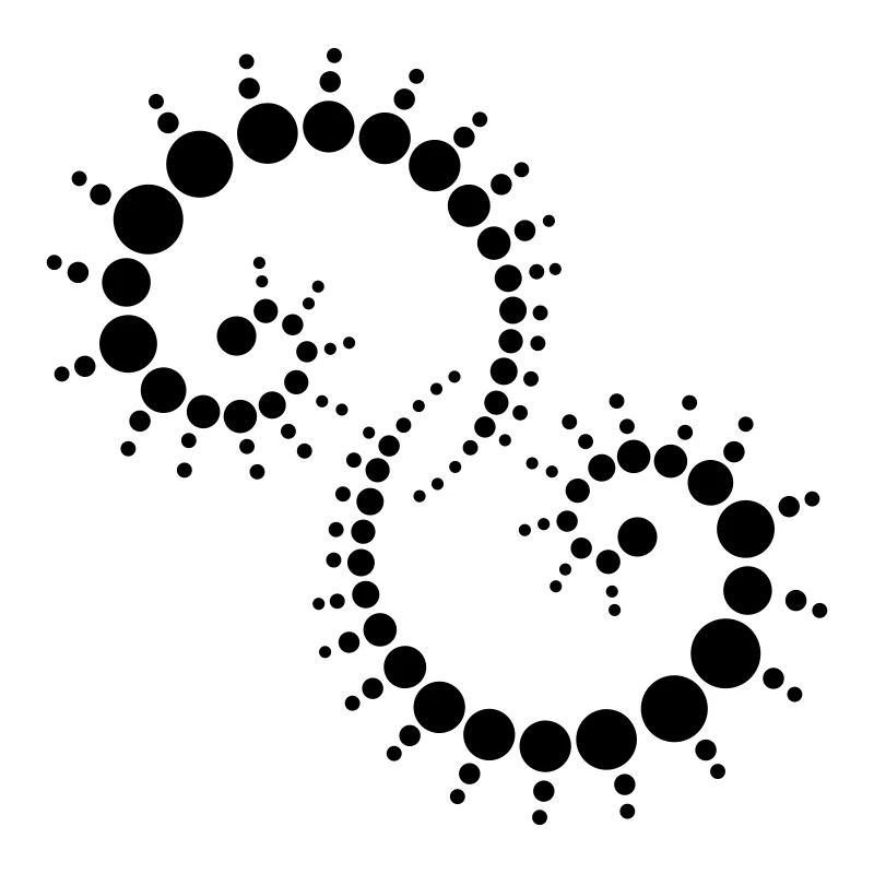 fossil2
