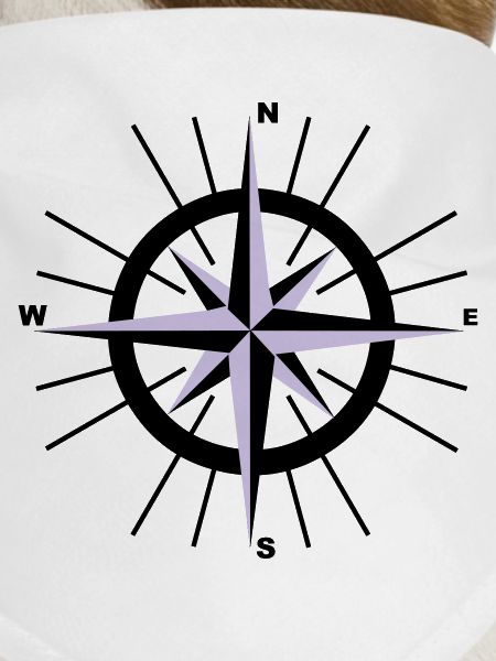Nautical Compass