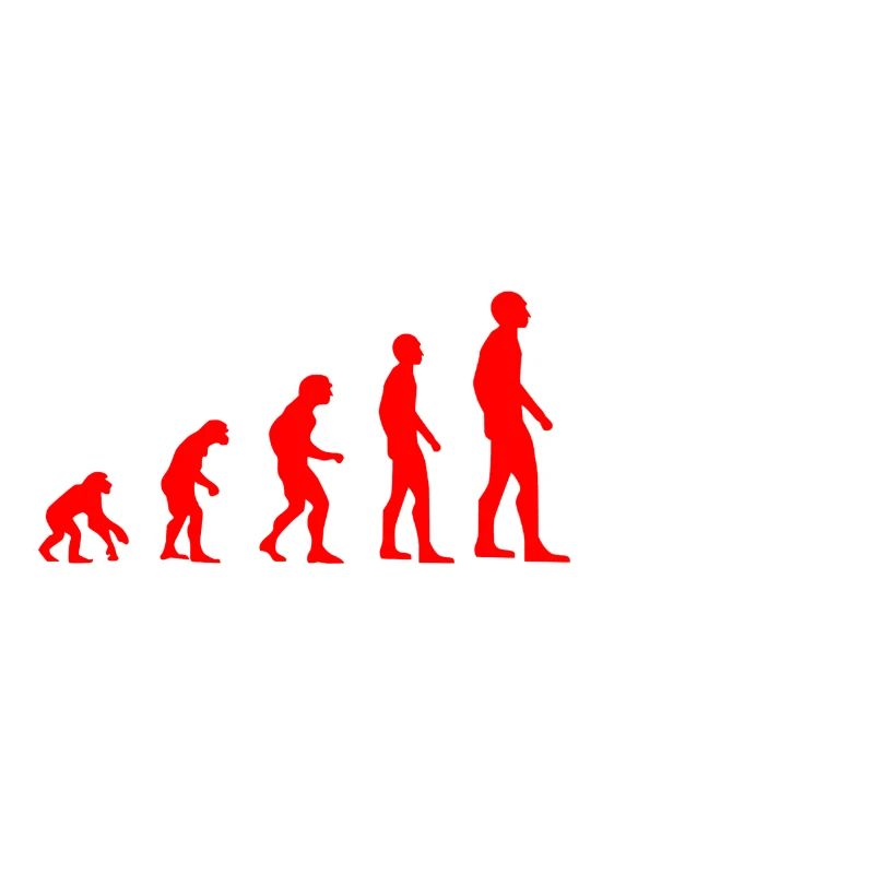 Evolution Handball Shirt Idee Geschenk Rot Weiß