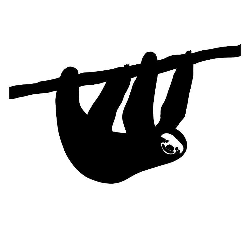 sloth