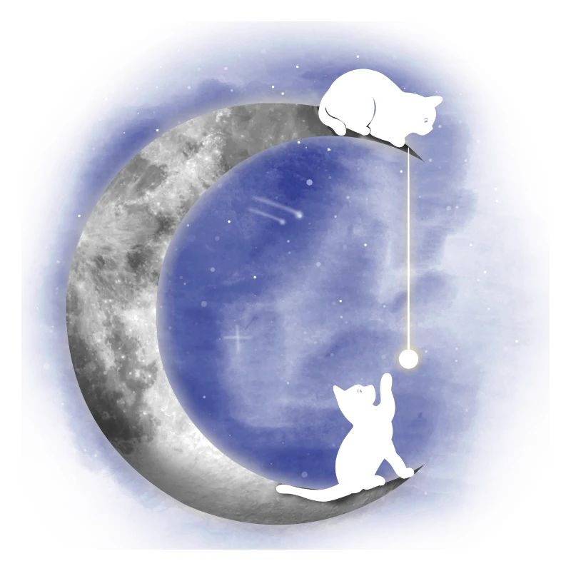 Chat