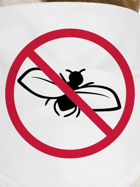 Fly Forbidden Shield