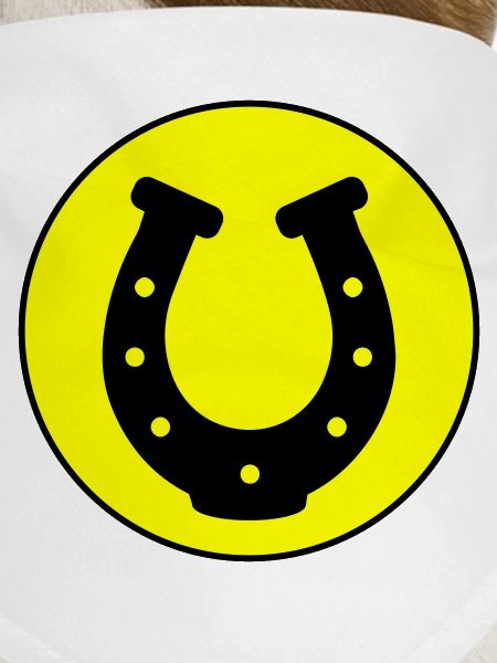Horseshoe Icon