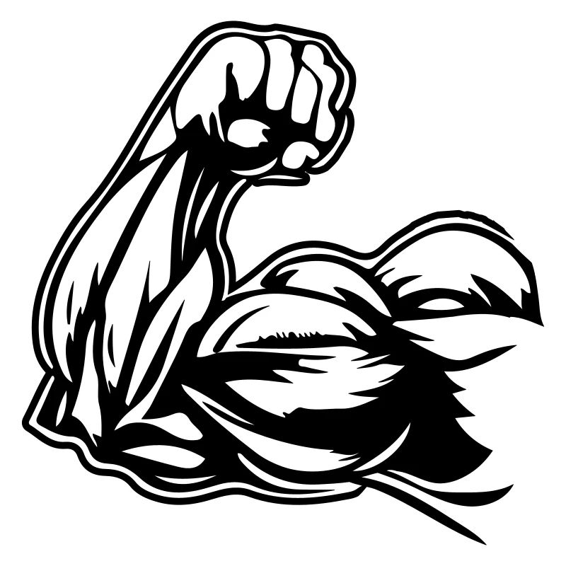 Muscles du bras biceps