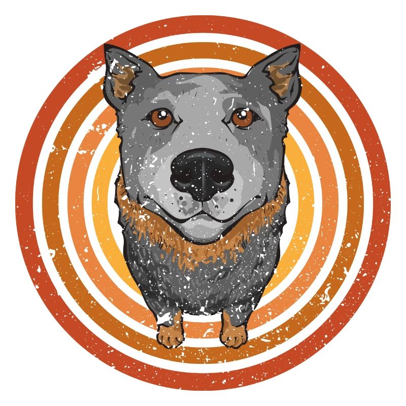 Bouvier australien Red Blue Heeler