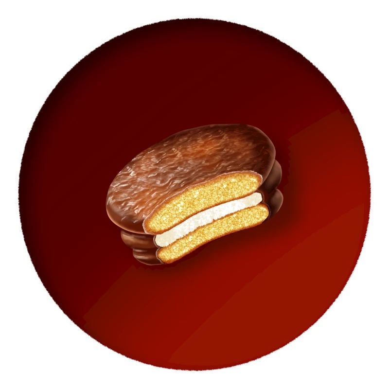a delicious biscuit with chocolate