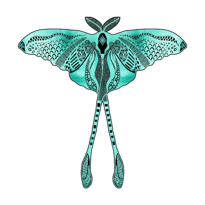 Papillon de lune chinois - Luna Moon Moth