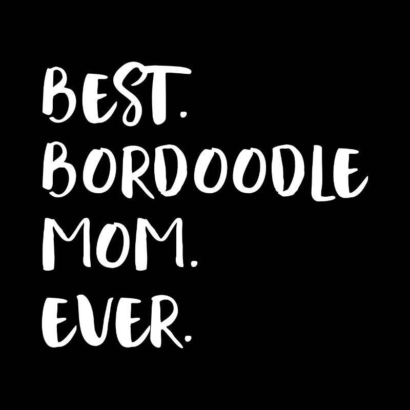 Bordoodle Border Poodle Borpoo Borderpoo