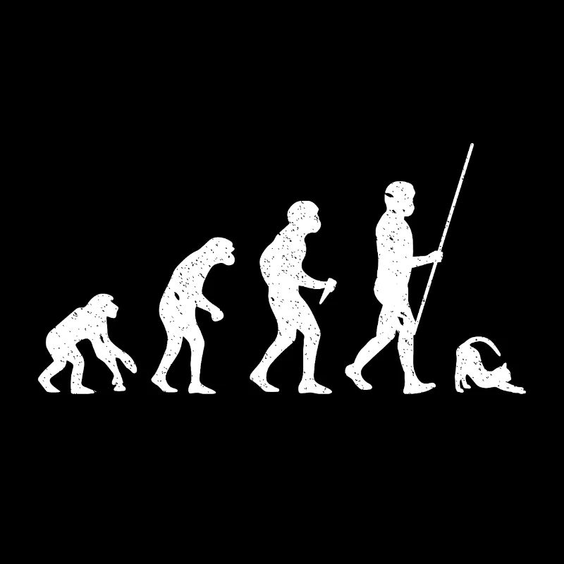 Katze Evolution
