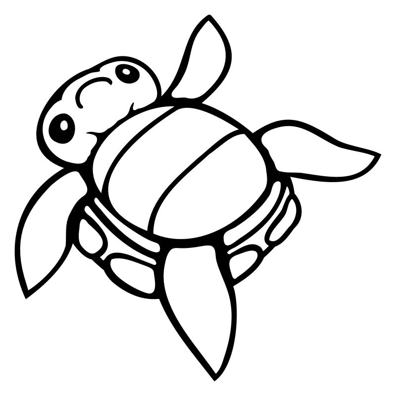 Turtle tipped over on its back helpless side cute