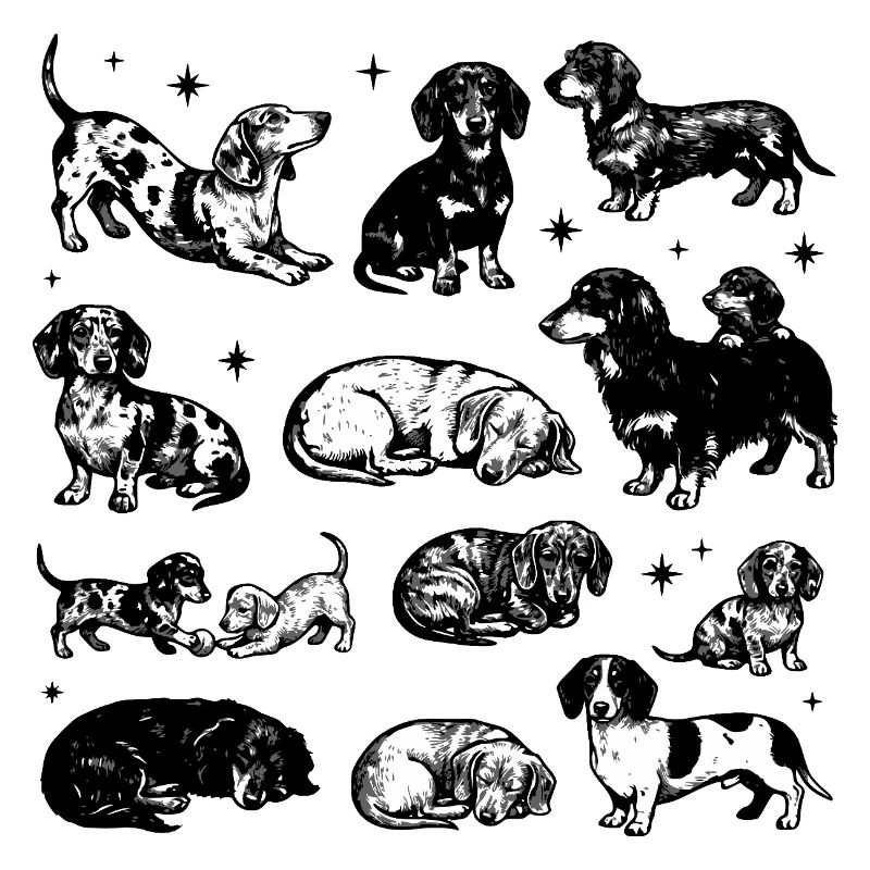 Dachshund Dackel Teckel retro 90s vintage