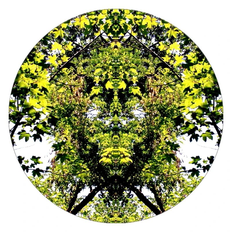 Tree Nature Creature