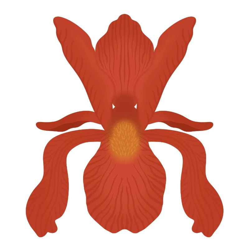 Crimson Iris Flame