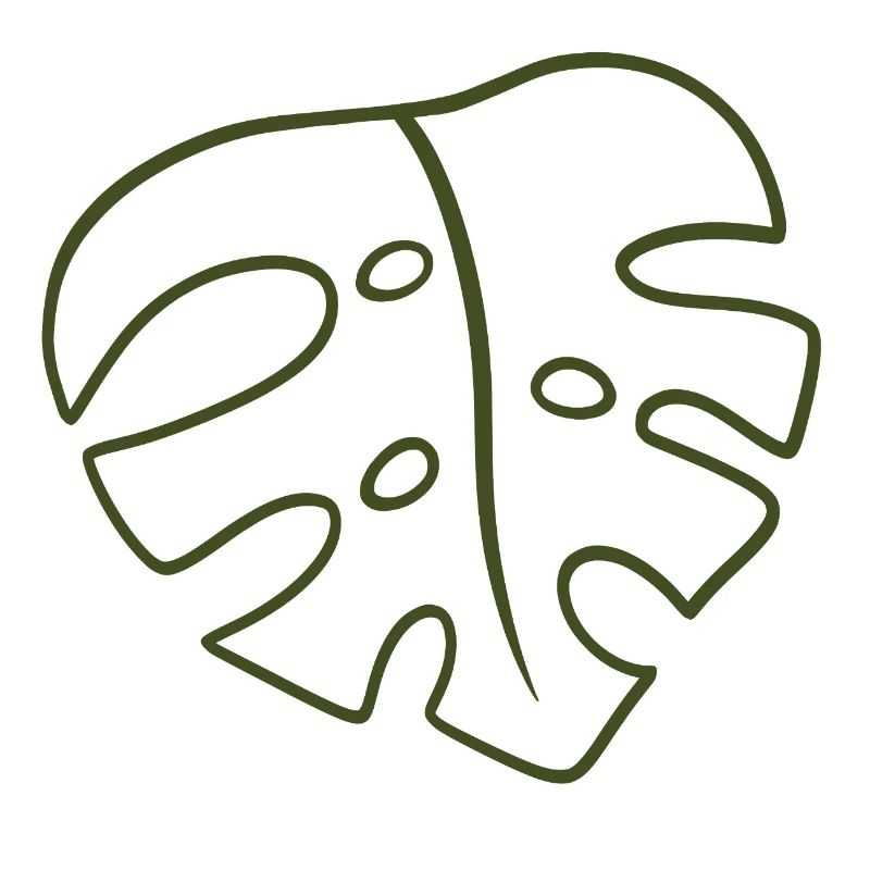 Monstera Line Art Leaf