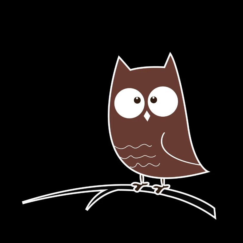 Squinting Owl Gift Idea