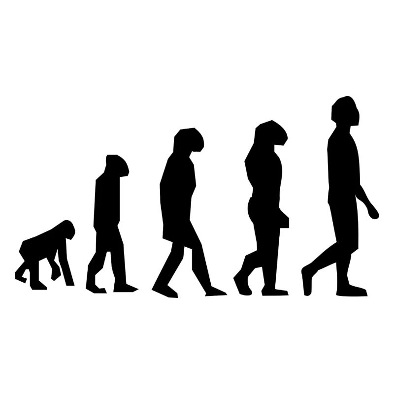 Evolution des Menschen