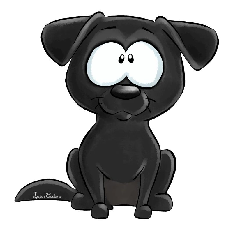 Schwarzer Labrador
