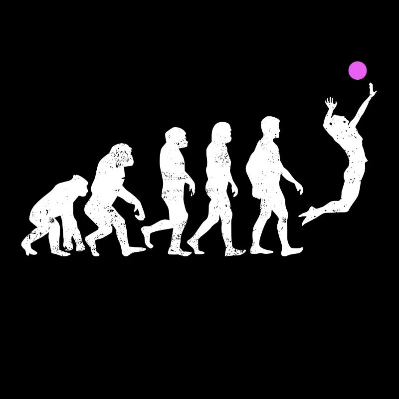 Volleyball Evolution sport gift jump ball